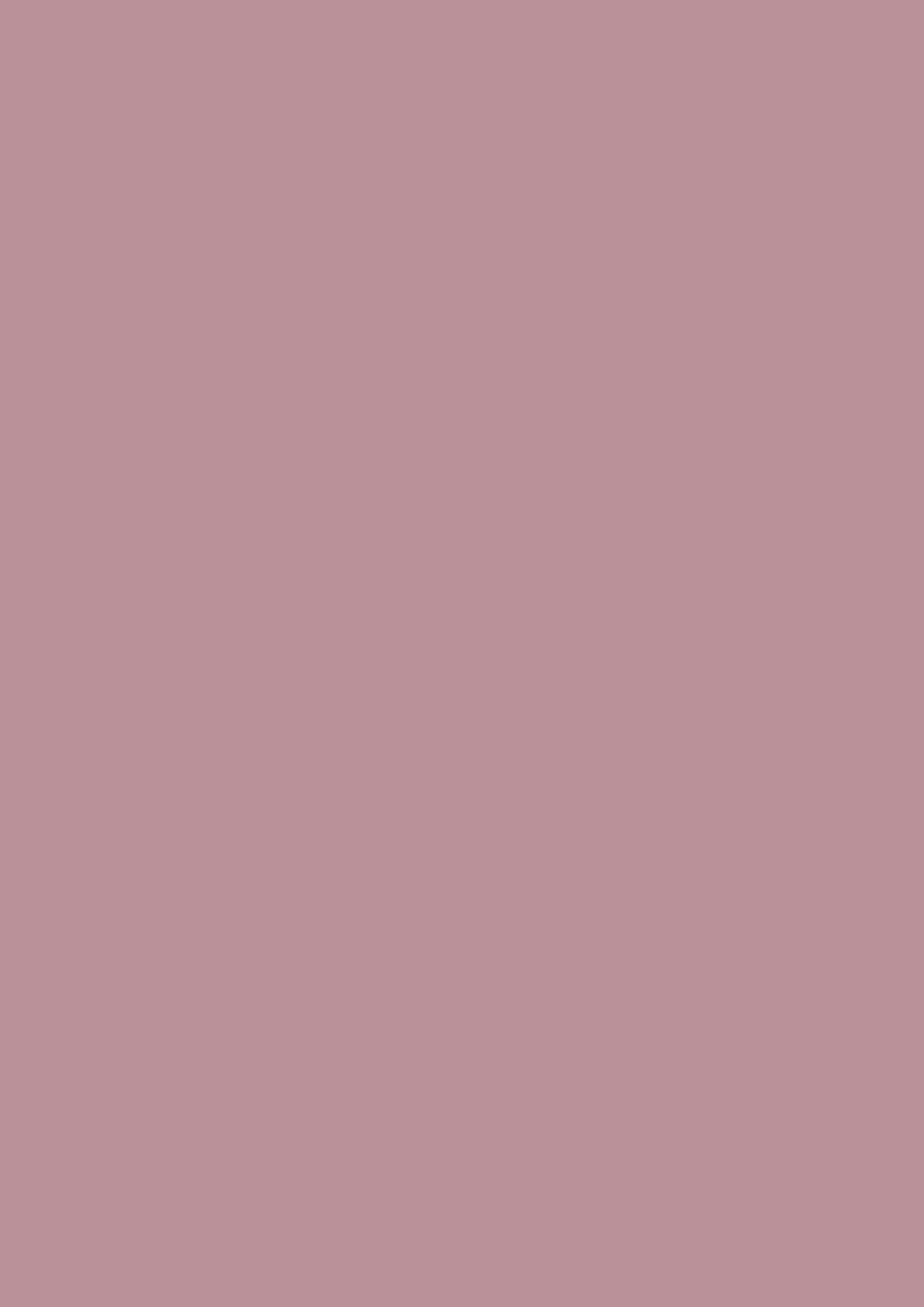 U325_A3_10DE_fur