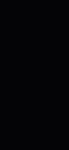 U999_1300x2800_10DE_fur