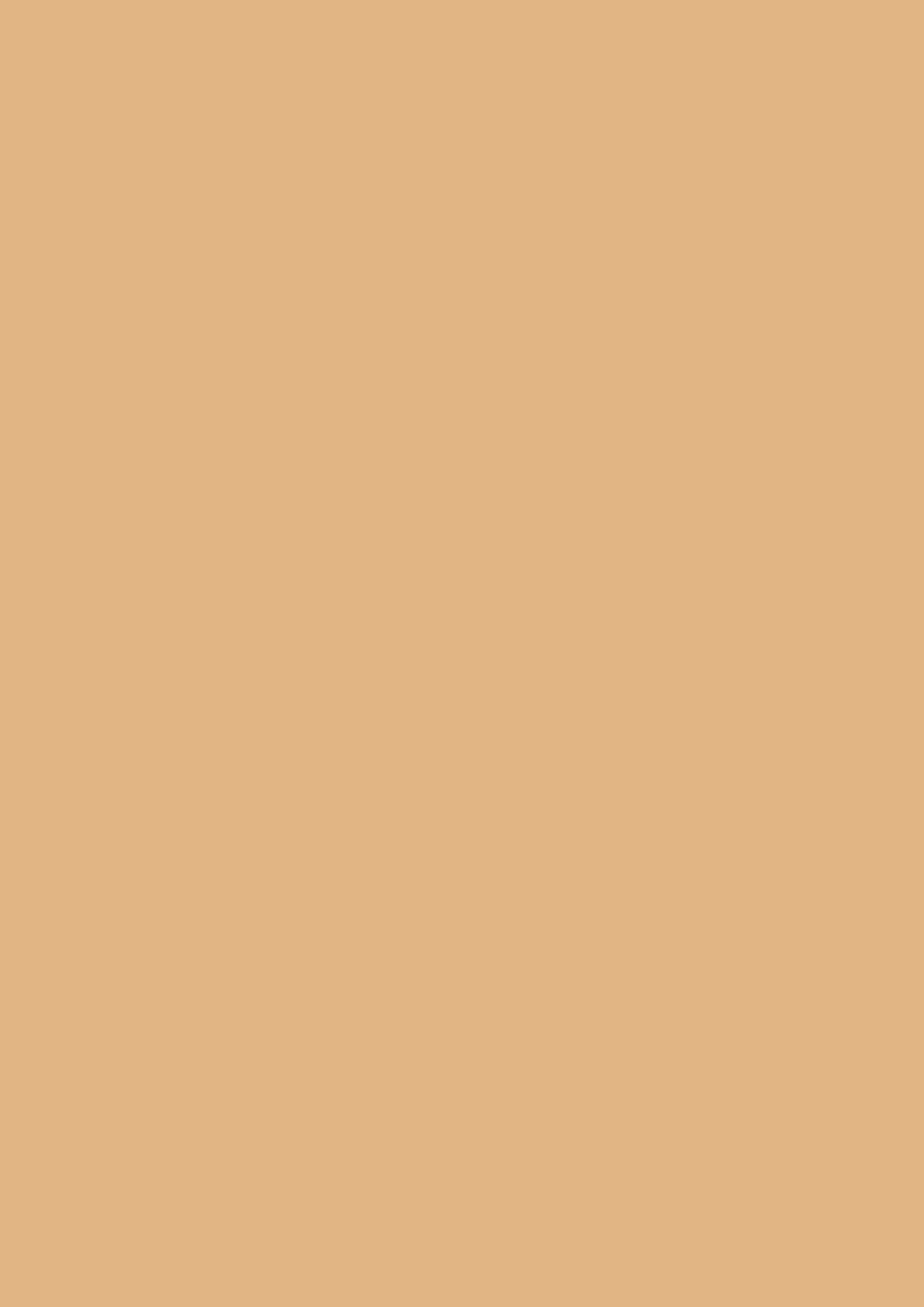 U125_A3_10DE_fur